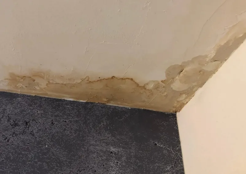 Mancha de condensación y humedad en el techo bajo una cubierta de pizarra mal ventilada